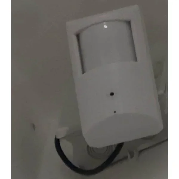 Kamere u toaletima škole u glavnom gradu bile su maskirane kao detektori dima (Slika)