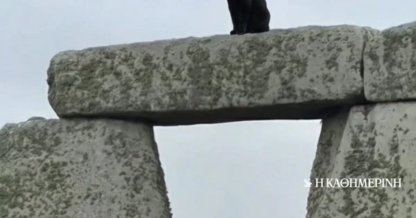 «Veliki znak»: Crna mačka koja je ukrala šou na Stounhendžu