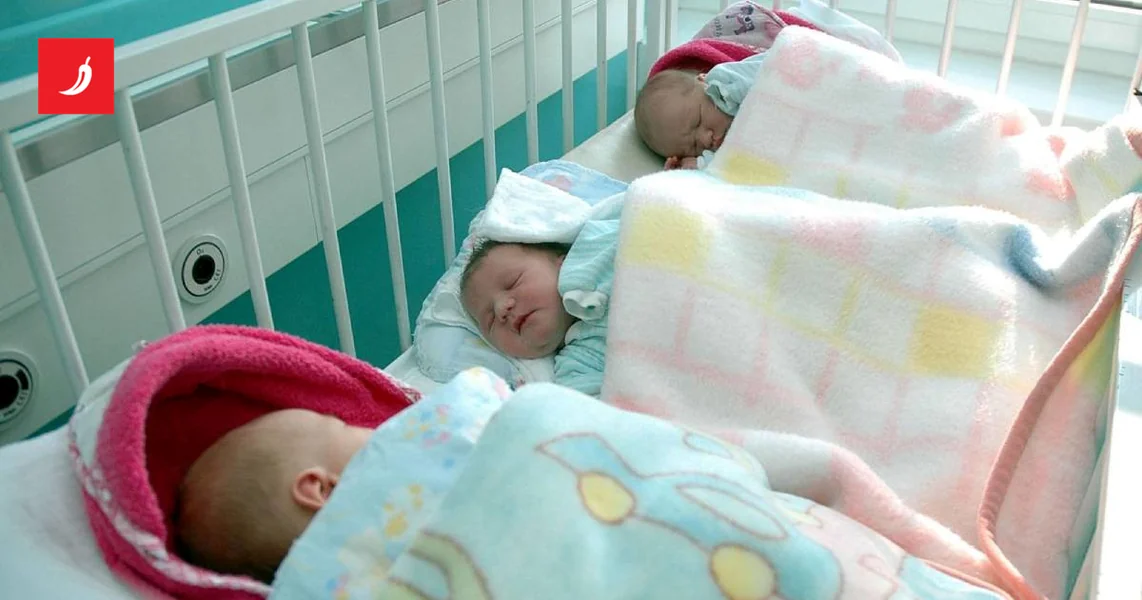 Dubrovačko-neretvanska županija uvodi dar od 1000 € za svako novorođenče