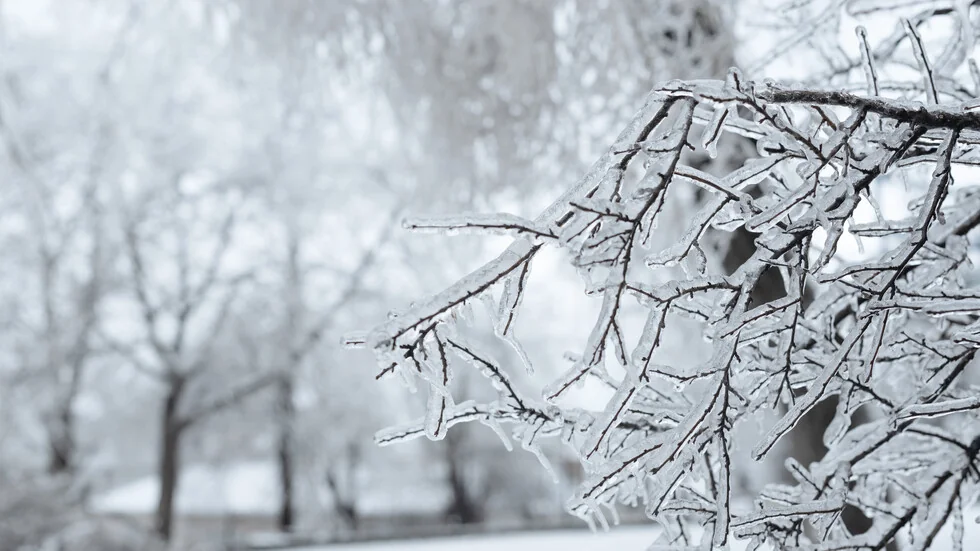 Očekuje se još sneg tokom vikenda