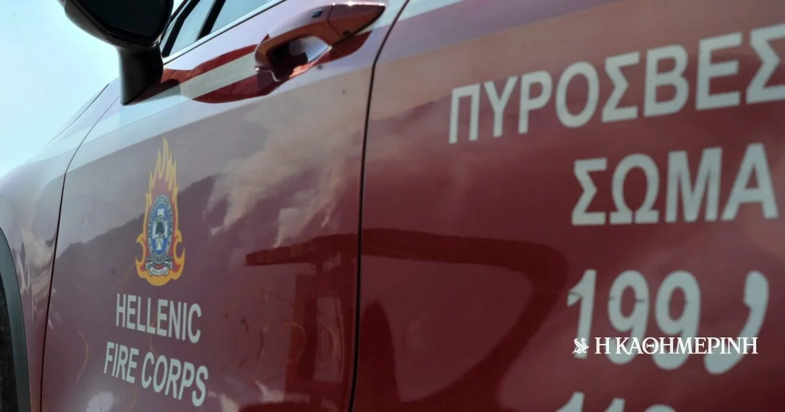 Nova Makri: Požar u ovčijem toru – Velika mobilizacija vatrogasaca