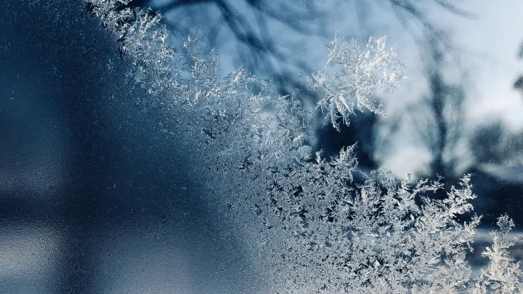 Teške štete može prouzrokovati mraz ako na vreme ne reagujemo