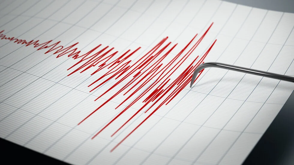 Silno zemljotresenje u Japanu (VIDEO)