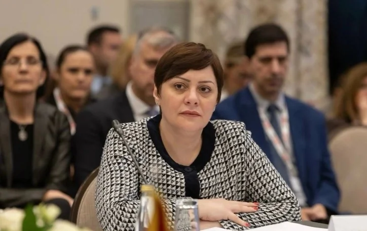 Gordana Dimitrieska-Kočoska: SEPA je primer da reforme nose konkretne rezultate - Nova Makedonija