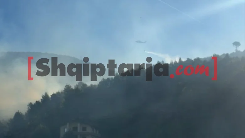 Jo i dalje aktivna vatra požara u Manati kod Lezh, poactura je intervencija iz vazduha (VIDEO) - Shqiptarja.com