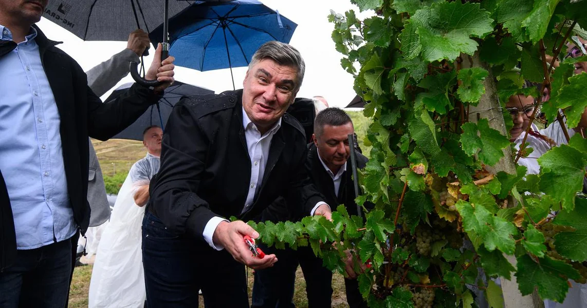 Šta to predsednik Milanović radi sa škarama? Pogledajte kako se sa diplomatima snašao u vinogradu