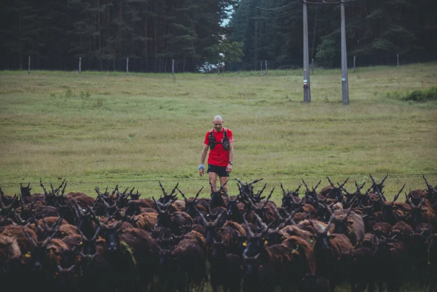 Izrekao je snažnu estetsku kritiku na kičasto Marijino svetište – ovo nije bilo uključeno