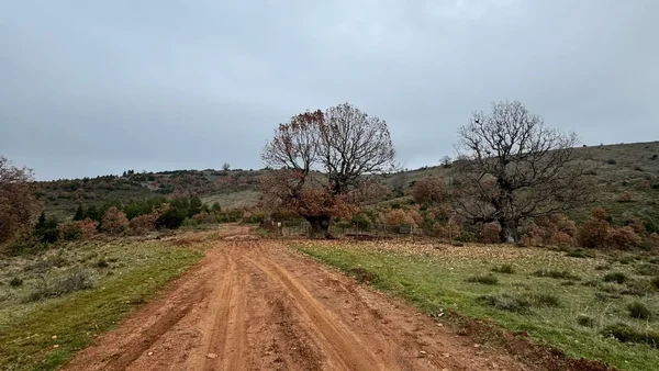 Nema načina da poljoprivrednici blokiraju puteve