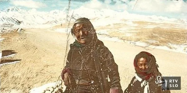 Alen Steržaj: Gora nije zadeta