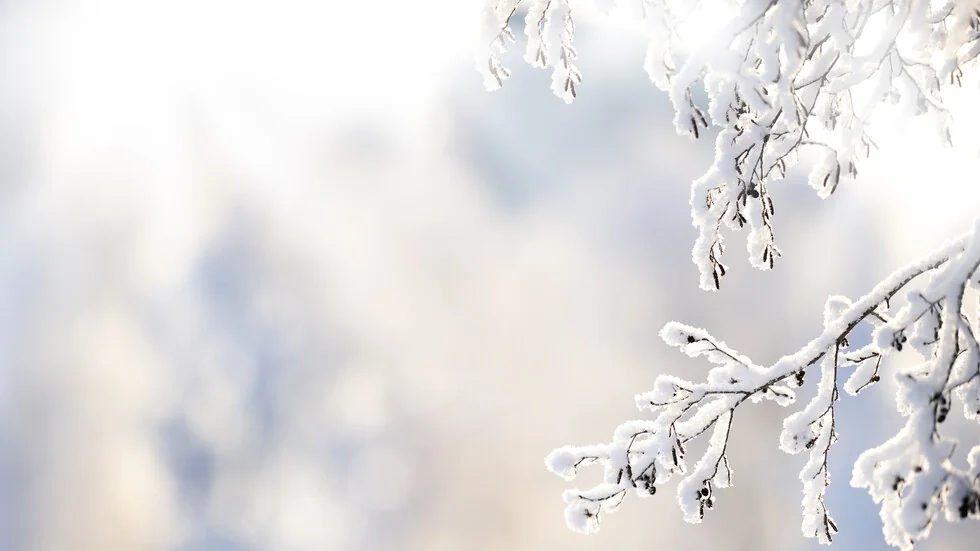 Poledice i jak vetar: Žuti kod u 14 oblastima u subotu