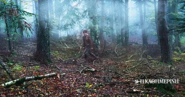 Zločin i kazna sa crnim humorom