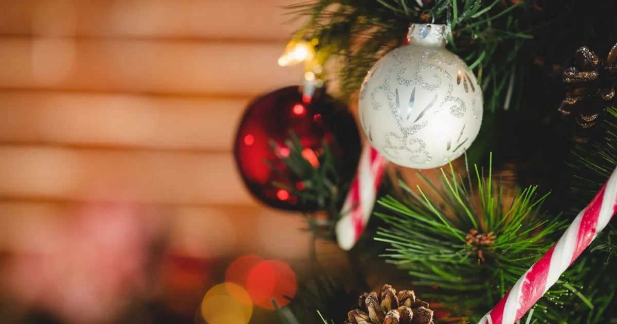 Hladno vreme, božićni borovi i prašina: zašto se tvoje alergije mogu pogoršati tokom Božića