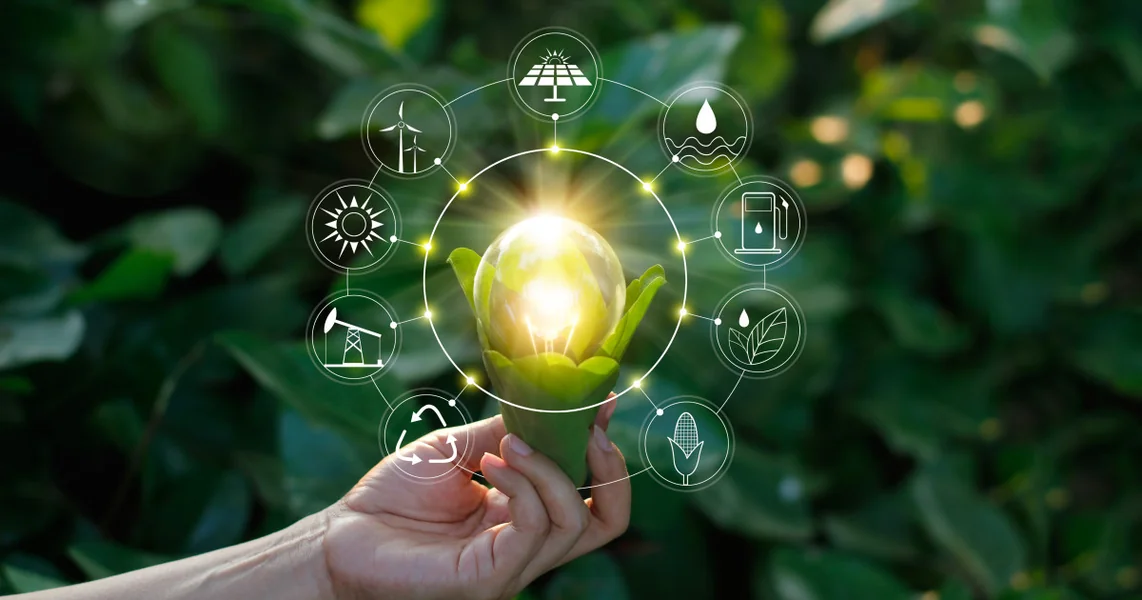 Globalna proizvodnja biogoriva mogla bi da poraste za gotovo 70% do 2030. godine. Kakav pritisak se javlja na zemljišta i cene