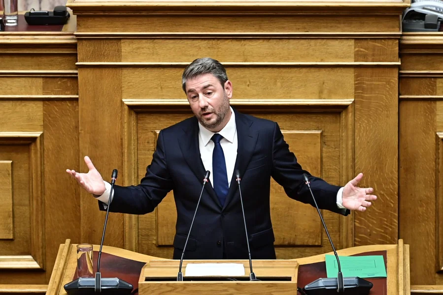 Androulakis iz Kastorije: Stabilnost može doneti samo PASOK - Dokument