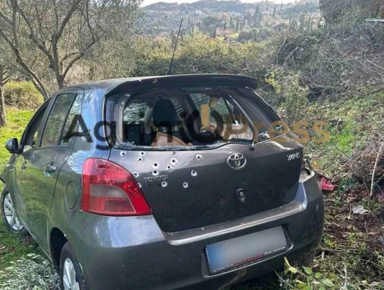 Divlje ubistvo u Agriniju: Od prijatelja… neprijatelji - Nove svedočanstva stanovnika - Documento