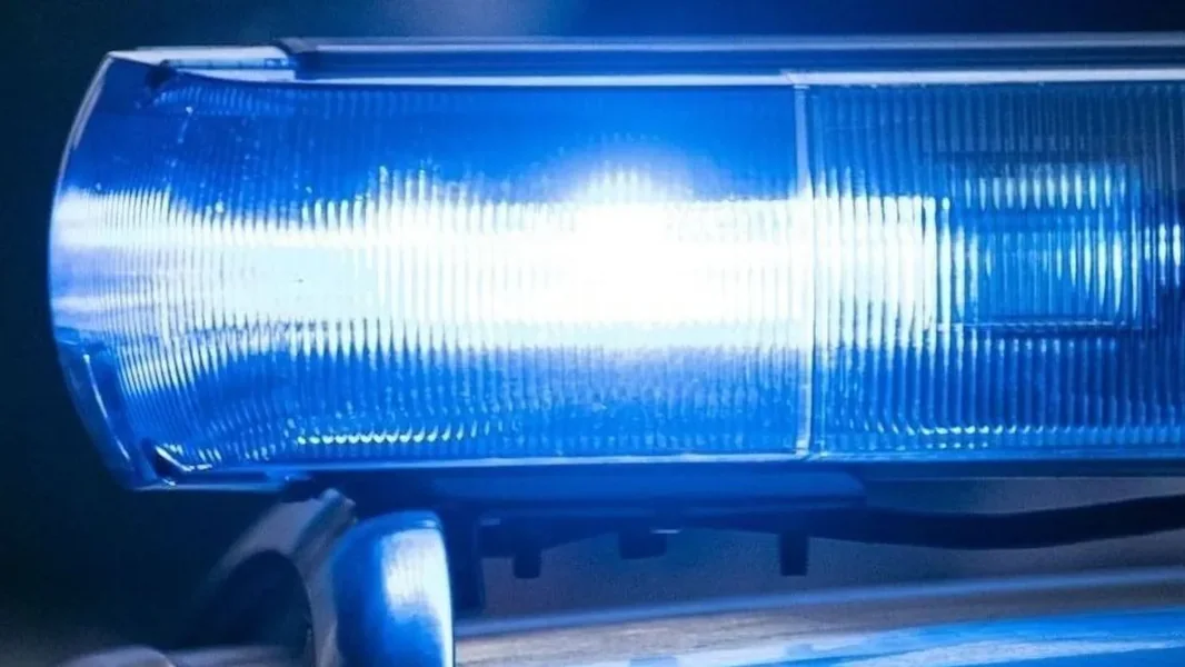 Više desetina kriminalaca je uhapšeno od strane policije na dočeku Nove godine - ORIGO