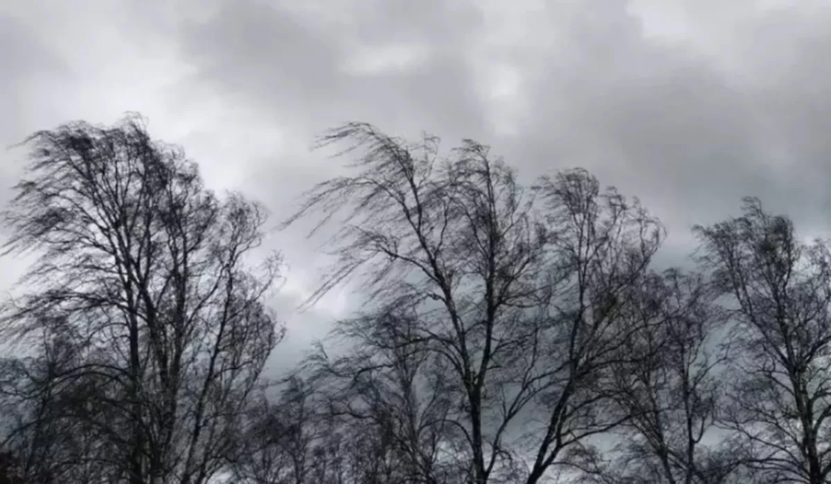 Upozorenje nowcasting narandžastog koda za vetar u više županija Rumunije: vetar će dostići i 140 km/h u naletima