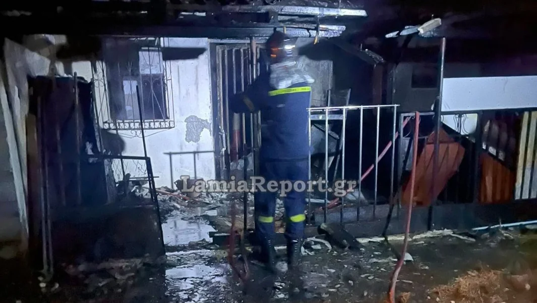 Tragedija u Ftiotidi: Preminula 32-godišnja nakon požara u njenom domu - Documento