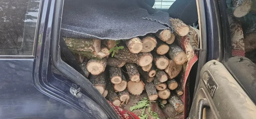 Lišen od slobode drvokradac u tetovskom, bez vozačke dozvole upravljao vozilo i prevozivao ogrevno drvo bez dokumentacije