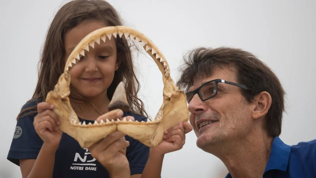 Škotska: Retka fosilija ajkule od 330 miliona godina podiže ambicije za izgradnju spomenika