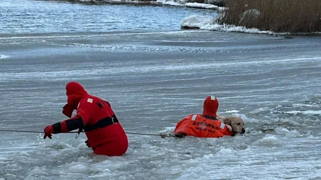 Zapanjujući video spašavanja psa koji je pao u zaleđeno jezero - ORIGO