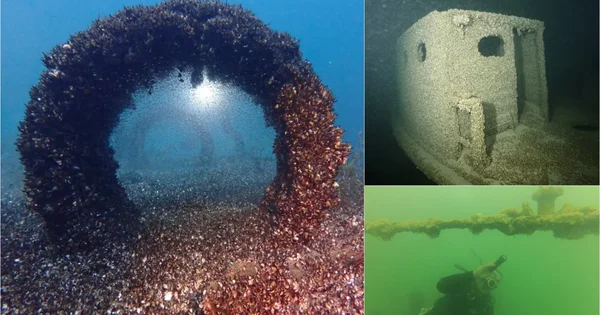 To je potpuna invazija: Kako je vrsta školjki iz Crnog mora dospela da devastira ireverzibilno Jezero Ženeva i Velika jezera SAD