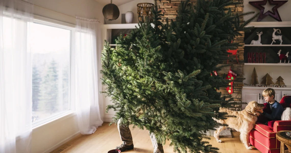 Koliko dugo je preporučljivo da ostavimo jelku ukrašenu. Kada je pravi dan da je sklonimo, prema tradiciji