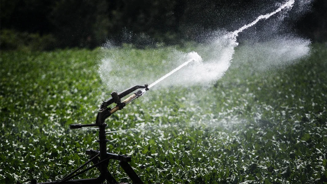 Data centri iscrpljuju ruralna područja - Documento