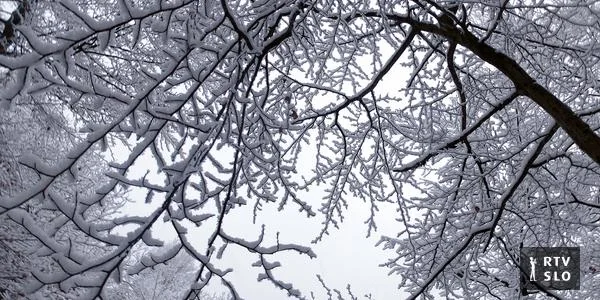 U utorak bi mogli dočekati sneg i u nižinama, temperature će čitav nedelju biti znatno ispod ledišta.
