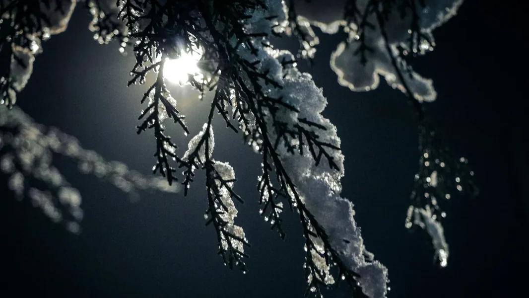 Zima zarobljava zemlju — vreme donosi još iznenađenja za vikend