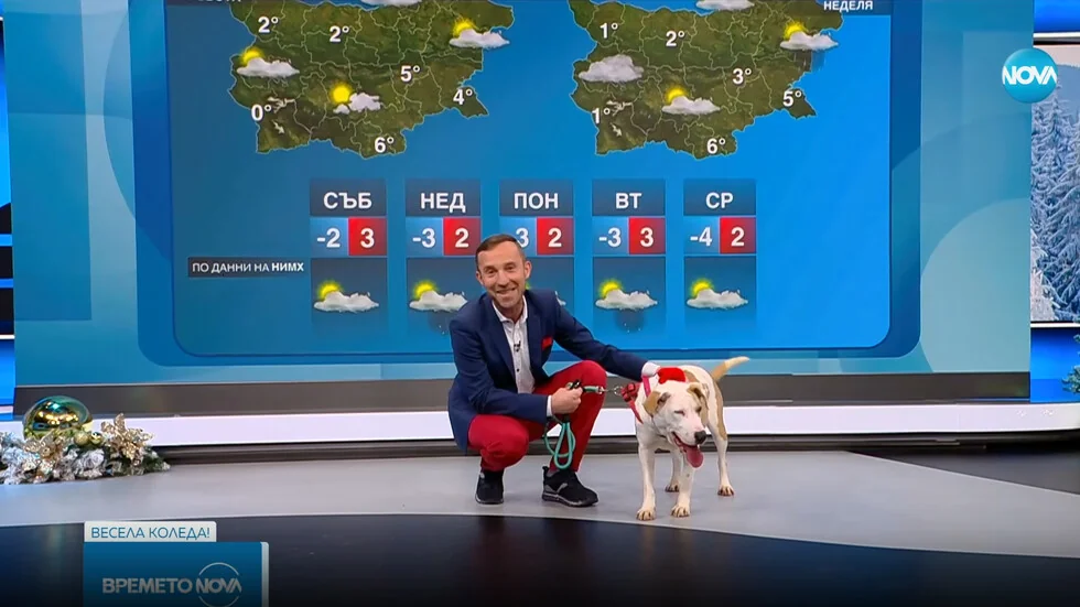 Vreme za nadu: Nikolaj Vasilkovski traži ljubavni dom za Kaju