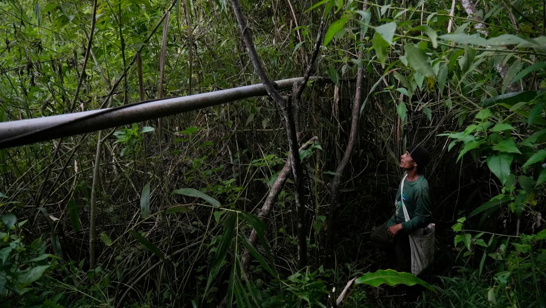 Indonezija: Pronađeni su ostatci aviona koji je nestao - 11 nestalih - Documento