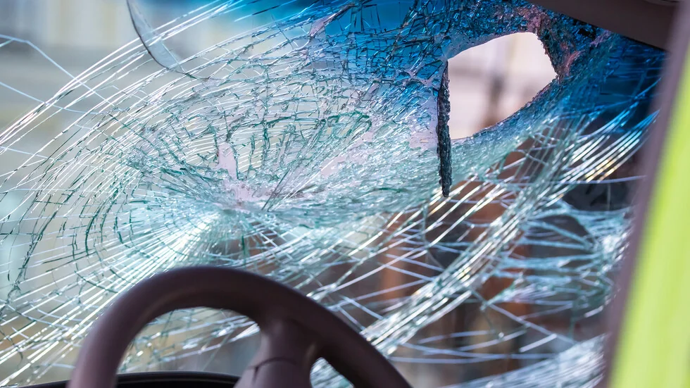 Majka na dve dece preminula, nakon što drvo palo na automobil u Prirodnom parku 'Vitoša'