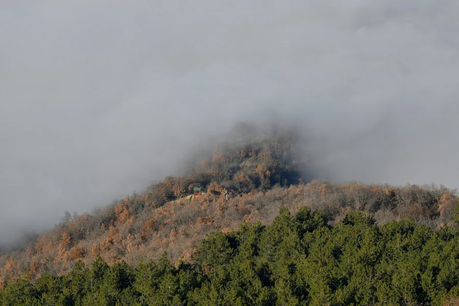 Magla i slabi padovi od snega kod Pletvar - Nova Makedonija