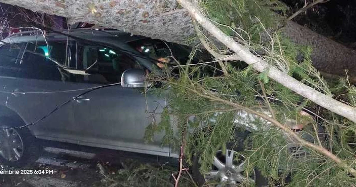 Oluja na Valei Prahovei. Drvo palo na automobil sa tri osobe, u Sinaia, usled jakog vetra.