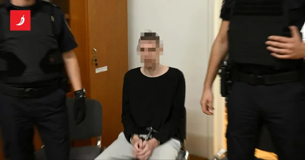 Ubica iz Prečkog 50 godina zatvora