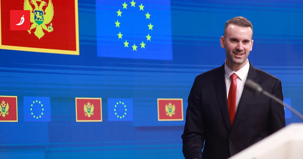 Crna Gora 2025: Od tragedije, preko blokada do evropskih prekretnica