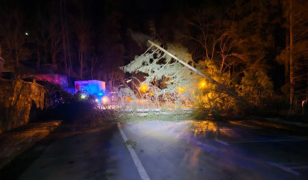 Telegondola i telekabina u Sinaia, blokirane od vetra. Više od 20 stabala oboreno je od vetra u turističkom mestu