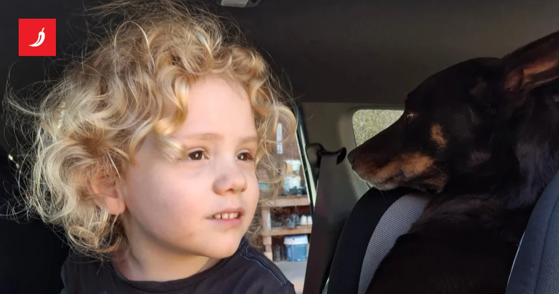 Gus (4) nestao usred australijske pustoši. Godinu kasnije slučaj je još mračniji