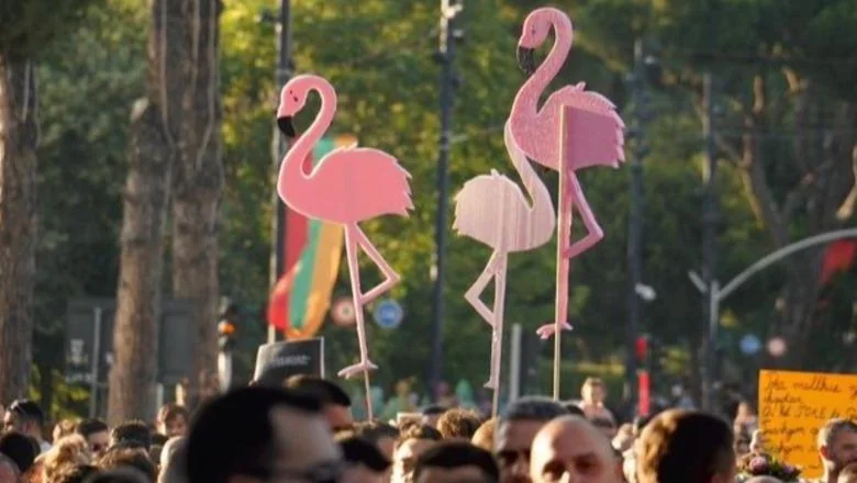 Rani flamingosi Žute kuće