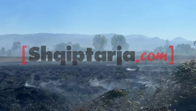 Vatre u Peqinu nastavljaju sa visokim intenzitetom, očekuje se intervencija iz vazduha! Žarište i u Rrilë kod Lezhë (VIDEO)