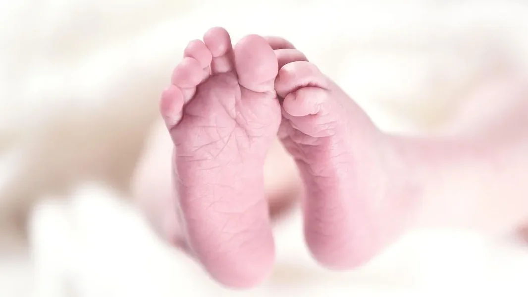 Prelepo ime dobila prva beba Budimpešte 2026. godine