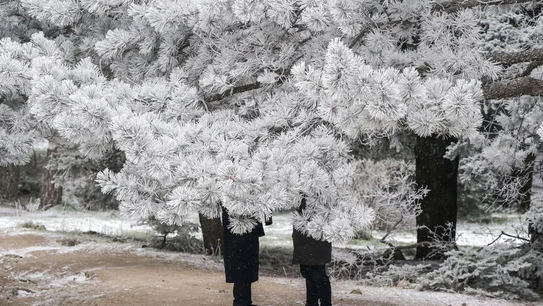 Vreme: Počinje danas hladna invazija - Koliko će trajati i gde će pasti sneg - Documento