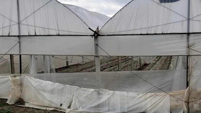 Kuçovë/ Poplave u selu Kozare, 28 hektara površine sa staklenicima još pod vodom