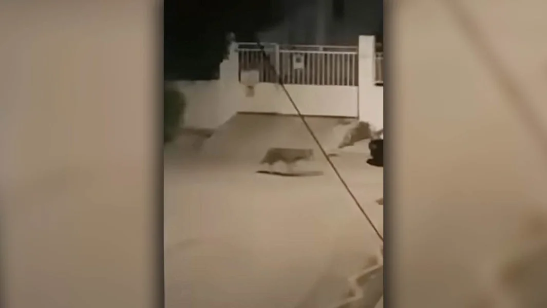 Jedan vuk u Haidaru - Uputstva građanima - Documento