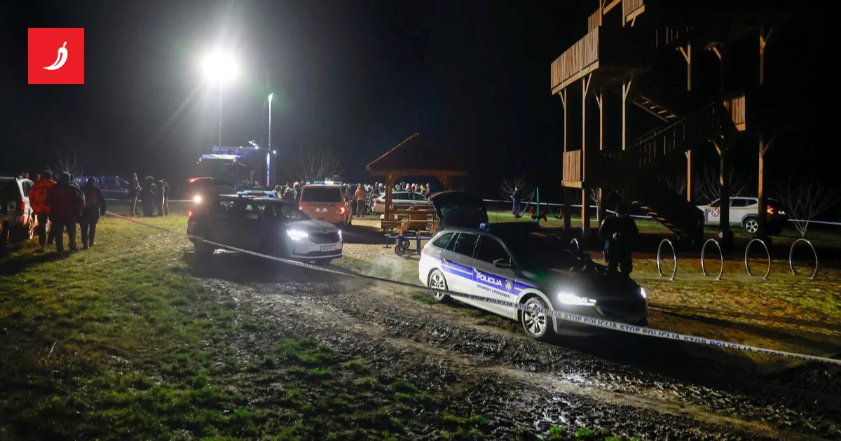 Pronađen dečak koji je nestao u Baranji. 'Uplašio se, pobegao u šumu i zaspao'