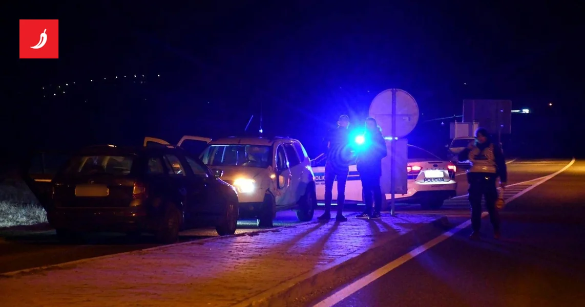 Srpkinja, Sirijac, Mađar i maloljetni Ukrajinac švercovali ljude u Hrvatsku