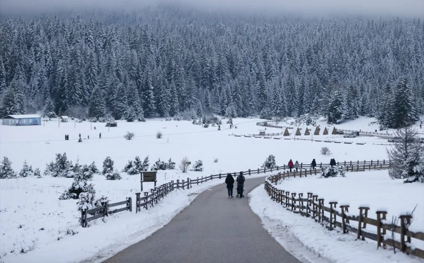 Skupština KS danas glasa o korišćenju zemljišta na Igmanu: privatnik dobija skoro 4 hektara šume?