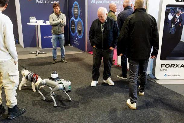 Veštačka inteligencija je ubila internet