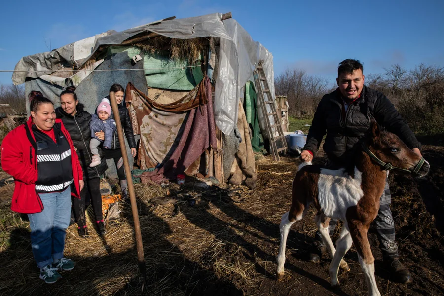 U njihovom životu više neće biti struje, ali sigurno će biti u životima njihove dece